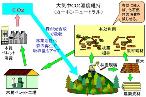 木質バイオマスとは？